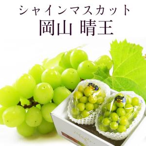 2025 ギフト岡山県産 シャインマスカット 晴王 赤秀品 2房(400g×2) 贈答用 御中元 敬老の日 葡萄 ぶどう ブドウ プレゼント 御礼 御祝 御供 果物 フルーツ