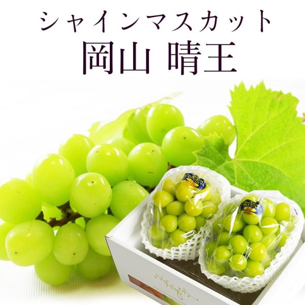 2025 ギフト岡山県産 シャインマスカット 晴王 赤秀品 2房(400g×2) 贈答用 御中元 敬...