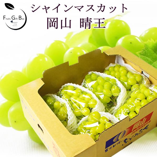 2025 ギフト 岡山県産 シャインマスカット 晴王 赤秀品 5kg(5〜10房) 贈答用 御中元 ...