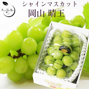2025 ギフト 岡山県産 シャインマスカット 晴王 特秀品 3房 約