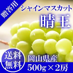 2026 ギフト 岡山県産 シャインマスカット 晴王 赤秀品 2房（500g×2） 贈答用 御中元 葡萄 ぶどう ブドウ プレゼント 御礼 御祝 御供 果物 フルーツ