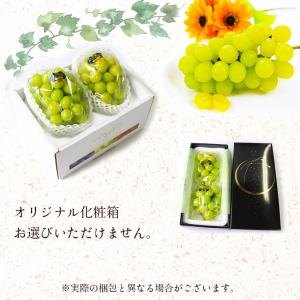 2026 ギフト 岡山県産 シャインマスカット...の詳細画像5