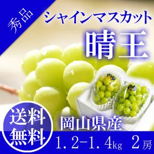 2026 ギフト 岡山県産 シャインマスカット 晴王 青秀品 2房（600g×2） 贈答用 御中元 葡萄 ぶどう ブドウ プレゼント 御礼 御祝 御供 果物 くだもの フルーツ