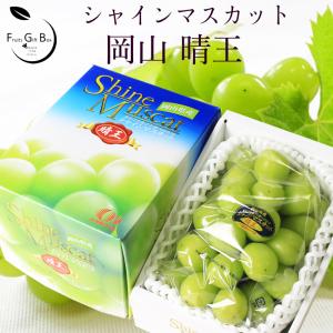 2026 ギフト 岡山県産 シャインマスカット 晴王 赤秀品 1房700g 贈答用 御中元 御歳暮 葡萄 ぶどう ブドウ プレゼント 御礼 御祝 御供 果物 くだもの フルーツ