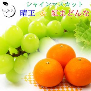 上質 beni様専用クール便 - miplakitchen.com