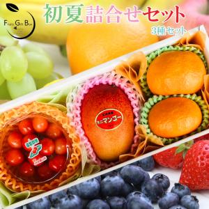 2026 ギフト 初夏のフルーツ詰合せセット 山形さくらんぼ 宮崎マンゴー