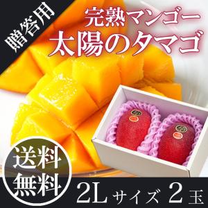 太陽のタマゴ 2L×2玉 秀品 宮崎県産 完熟マンゴー 母の日 父の日 お中元 贈答用 ギフト プレゼント 御祝 御礼 内祝 誕生日 果物 くだもの フルーツ｜ichiba-koubou