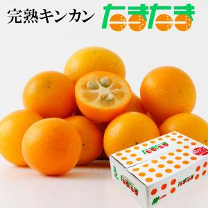 完熟きんかん たまた 訳あり L-3Lサイズ 3kg 家庭用 キズ スレあり簡易