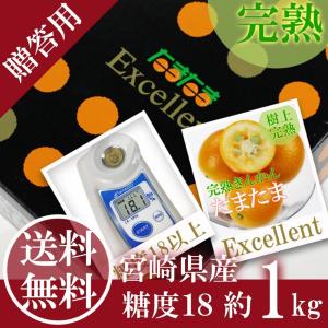 完熟きんかん たまたまエクセレント 1kg 2L...の商品画像