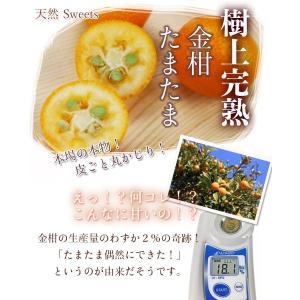 完熟きんかん たまたまエクセレント 1kg 2...の詳細画像1