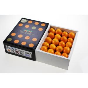 完熟きんかん たまたまエクセレント 1kg 2...の詳細画像4