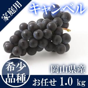 訳あり 岡山県産 キャンベル 家庭用 大きさお任せ1kg 希少 葡萄 ぶどう ブドウ 果物 くだもの フルーツ 軸枯れ、脱粒がございます。ジュースなどの加工用向き