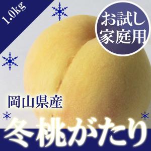 2023 お試し用  岡山 の 白桃 冬桃がたり 訳あり大きさお任せ 約1.0kg以上 家庭用 天然 スイーツ フルーツ 【11月下旬ごろより発送】｜ichiba-koubou