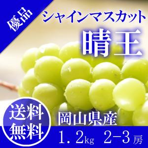 訳あり 瀬戸ジャイアンツ 3~5房 約2kg 家庭用 簡易包装 岡山県産