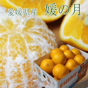お試し価格 みかん 媛の月 家庭用 大きさお任せ 約2.5kg 簡易包装 愛媛県 媛之月 キズ・スレあり ミカン 蜜柑 訳あり 送料無料