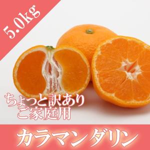 訳あり カラマンダリン 大きさお任せ 5kg ご家庭用 スレ・キズあり  とっても甘い みかん 愛媛県産 ４月下旬頃ご注文順に発送