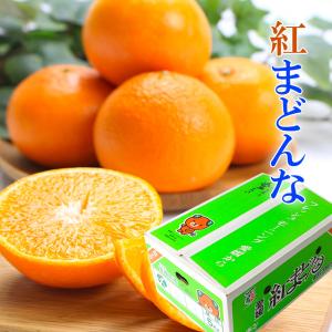 2025 お歳暮 ギフト 紅まどんな 匠と極 1.2kg L-2Lサイズ 6-5玉 中島産