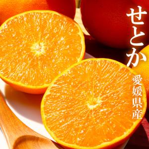 せとか 訳あり 大きさお任せ 約5kg簡易包装 キズ・スレ・ヤケあり家庭用 愛媛県 みかん ミカン 蜜柑 フルーツ 3月16日頃より発送