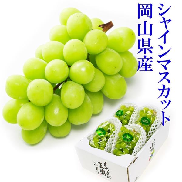 2025 岡山県産 シャインマスカット 晴王 優品 2kg(3〜6房) 簡易包装 ご家庭用 ぶどう ...