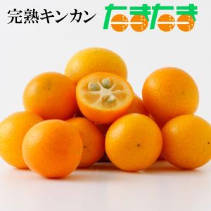 2025 ギフト 初夏のフルーツ詰合せセット3種 さくらんぼ マンゴー