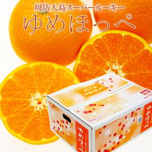 みかん ゆめほっぺ 訳あり 約1.5kg 大きさおまかせ 簡易包装 家庭用