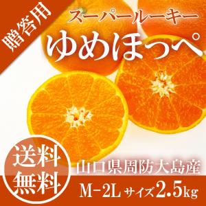 周防大島産　せとみ　10kg　（高糖系・減農薬栽培・ご家庭用） 西田秀基さんの 「せとみ」 山口県周防大島産 約3kg 2Sサイズ (目安