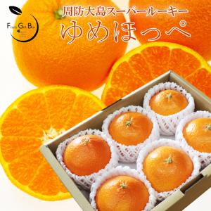 htm005様.予約専用.せとみ&夢ほっぺ蜜柑10kg(2L-L-Mサイズ) 楽天市場】ゆめほっぺ （ せとみ ）赤秀品L-2Lサイズ 約3kg 山口県周防