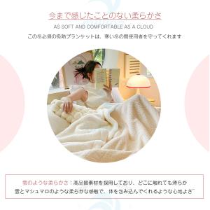 ブランケット シングル 毛布 家族用 フランネ...の詳細画像5