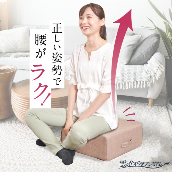座布団 雲のやすらぎ クッション座布団 リモートワークに最適な極厚構造 肩こり 腰痛 対策 爆買