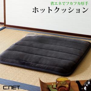 椙山紡織 あったかパーソナルマット 80×100cm ホットマット ホット