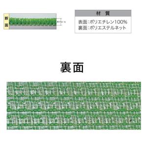 人工芝 ウインドターフ 成型芝 安心の日本製 ...の詳細画像1