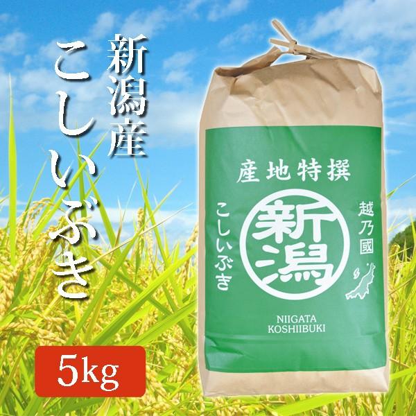 令和5年産 2023年度産 新米 玄米 米 新潟県産こしいぶき コシイブキ 米 5Kg (5キロ) ...