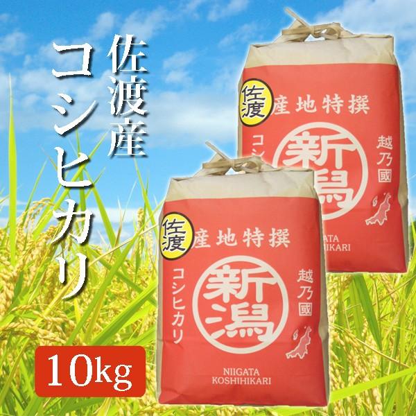 新米 令和5年産 2023年度産 玄米 佐渡産コシヒカリ こしひかり 10Kg (10キロ)  5k...