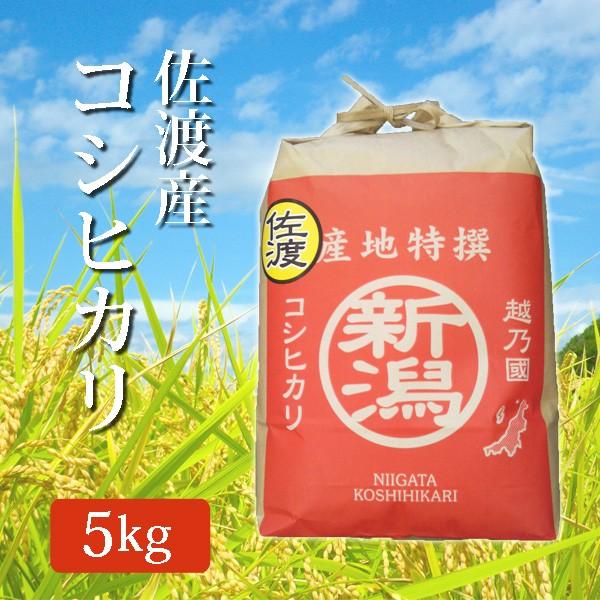 令和5年産 2023年度産 玄米 佐渡産コシヒカリ こしひかり 5Kg (5キロ) 佐渡産 代引不可...