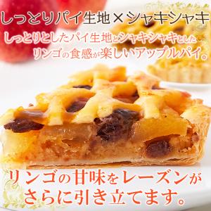 アップルレーズンパイ 5号 しっとりとしたパイ...の詳細画像1