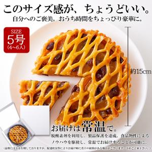 アップルレーズンパイ 5号 しっとりとしたパイ...の詳細画像4
