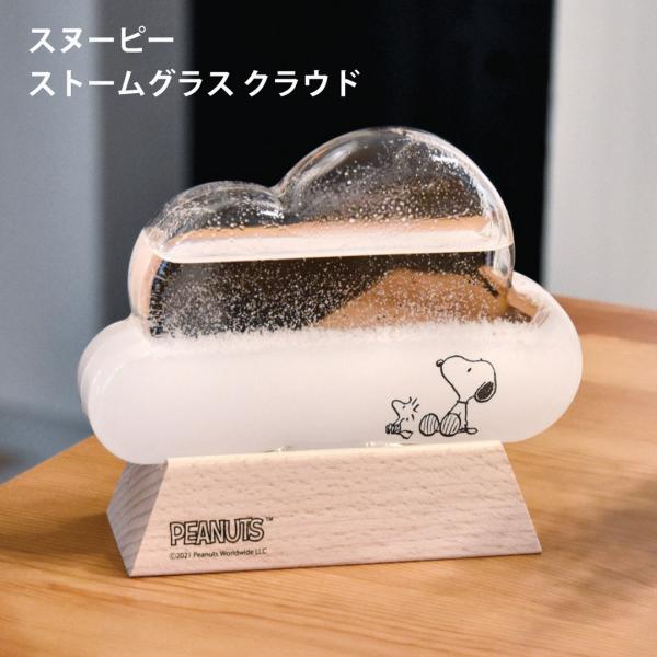 ストームグラス クラウド カタログギフト 贈り物 プレゼント スヌーピー