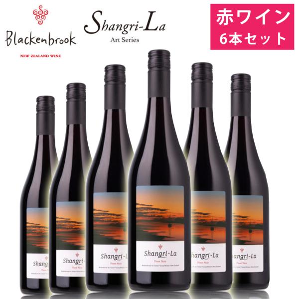 ブラッケンブルック 2019 6本セット 750ml×6 赤ワイン 果実味 香り 質感 葡萄酒 ピノ...