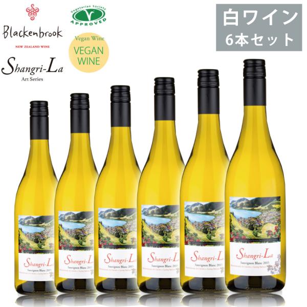ブラッケンブルック 2019 6本セット 750ml×6 白ワイン トロピカル 酸味 ヴィーガン シ...