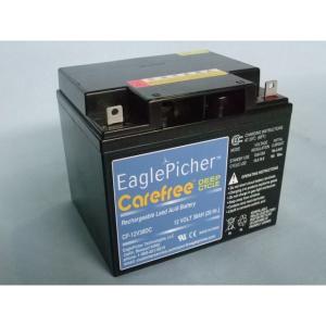 メンテナンスフリー 補水不要 イーグルピッチャー...の商品画像