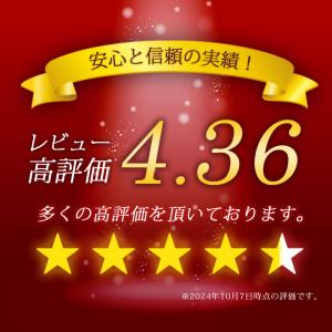 カーボンヒーター 首振り 900W 簡単操作 ...の詳細画像1