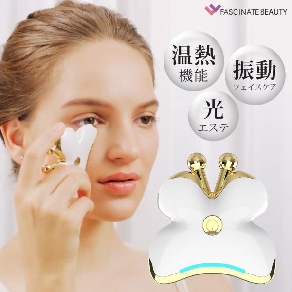 美顔ローラー ポータブル 美容ローラー＆美顔器 小型 温熱 振動 光エステ LEDライト 赤色 青色...