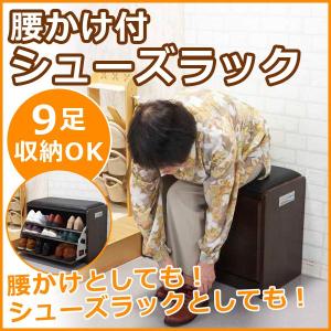 腰かけ 玄関 シューズボックス シューズラック 9足 下駄箱 玄関収納 コンパクト Fu-90366 代引不可