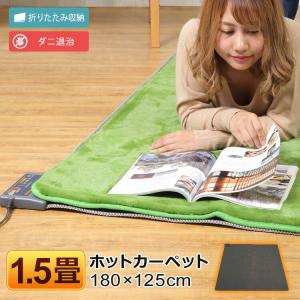 TEKNOS（テクノス） ホットカーペット 3畳 本体 195×235cm 電気