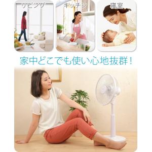 扇風機 リビング扇風機 5枚羽根 30cm D...の詳細画像3