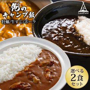 俺のキャンプ飯 レトルトカレー ポーク 牡蠣 牛すじ 選べる2食セット カレーセット パウチ 防災食 おかず LandField 公式