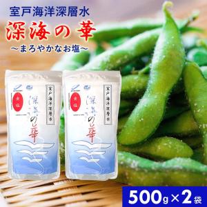 深海の華 500g×2袋 塩 しお 食塩 卓上容器入り 国産 調味料 まろやか しっとり 付け塩 振り塩 和食 天ぷら トマト 焼き物 ミネラル にがり 室戸海洋深層水｜ichibankanshop