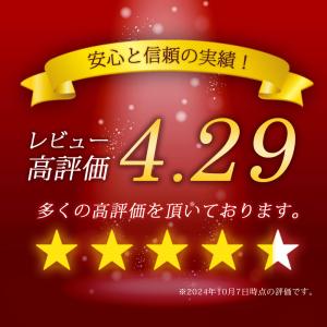 シャワーチェア シャワーベンチ チェアー 介護...の詳細画像1
