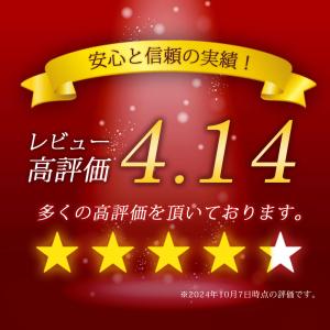 リクライニングフロアソファ 日本製 座椅子 コ...の詳細画像2