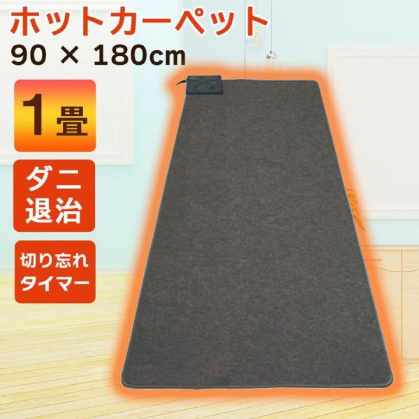 ホットカーペット 1畳 本体 電気カーペット 一人用 温度調節 本体 90×180cm ダニ退治 暖...